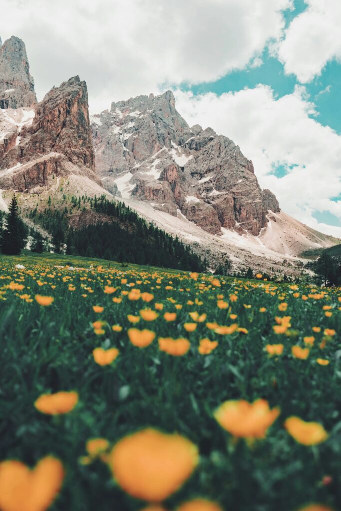 Hello World Featured Image